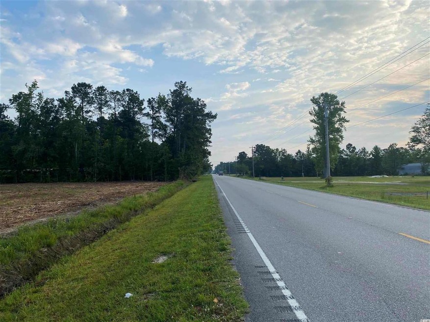 Lot 1 U S 701 Hwy unit 6190 Highway 701 S, Conway, SC 29526 - photo 1