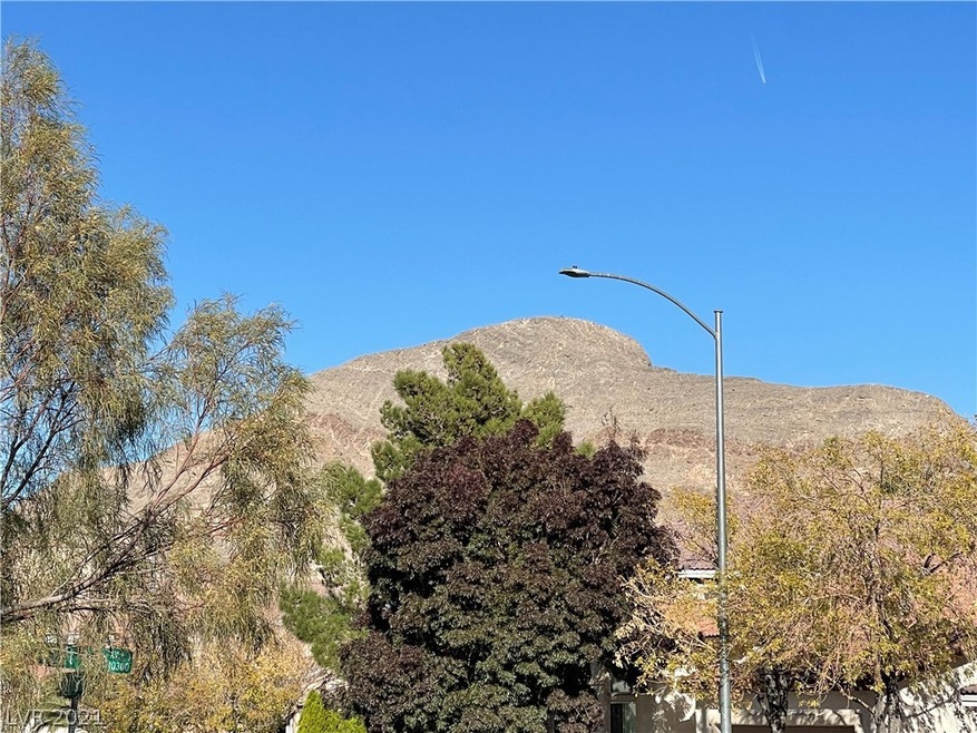 View of Lone Mountain from front yard!