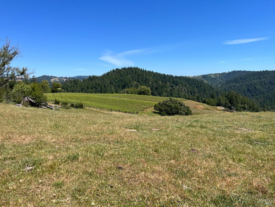 38555 Hauser Bridge Rd, Cazadero, CA 95421 - photo 1