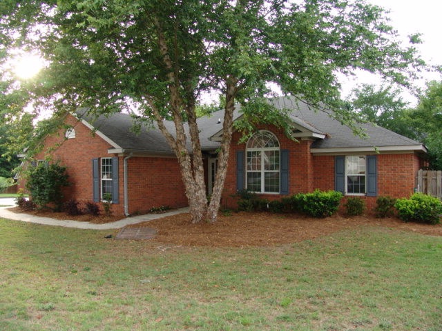 Main View