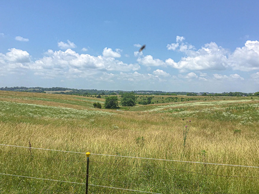 732 Muskego Rd, Nixa, MO 65714 - photo 1