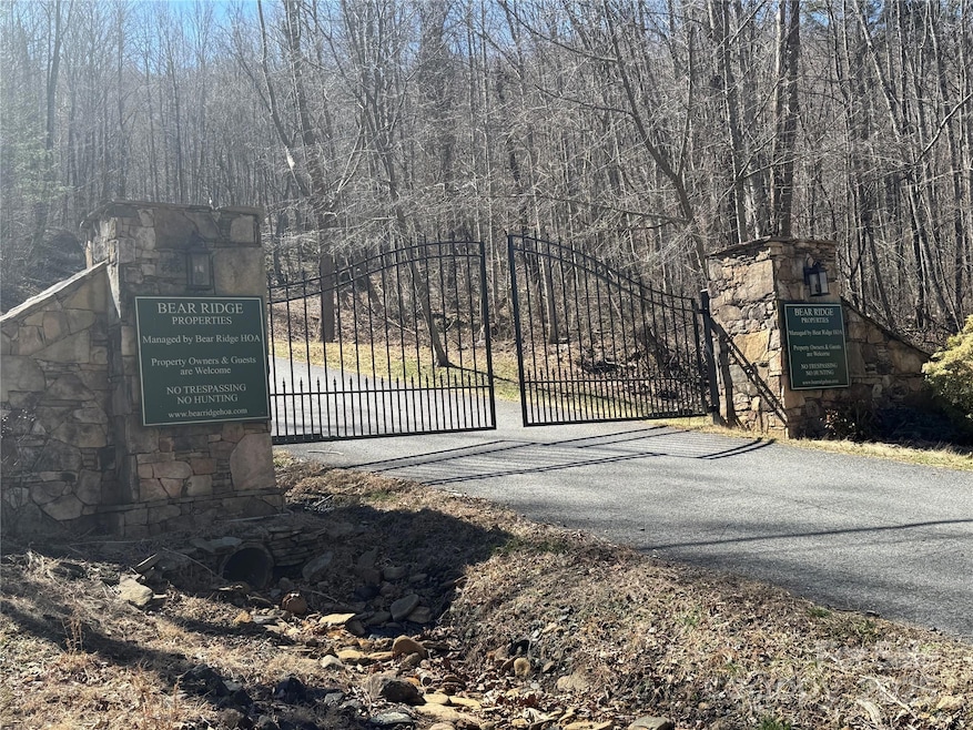 00 Beech Thicket Springs Rd unit 41, Bakersville, NC 28705 - photo 1