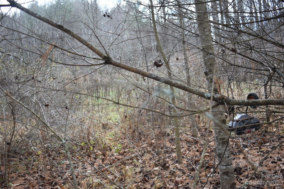 0000 Bradford Rd, Burnsville, NC 28714 - photo 1