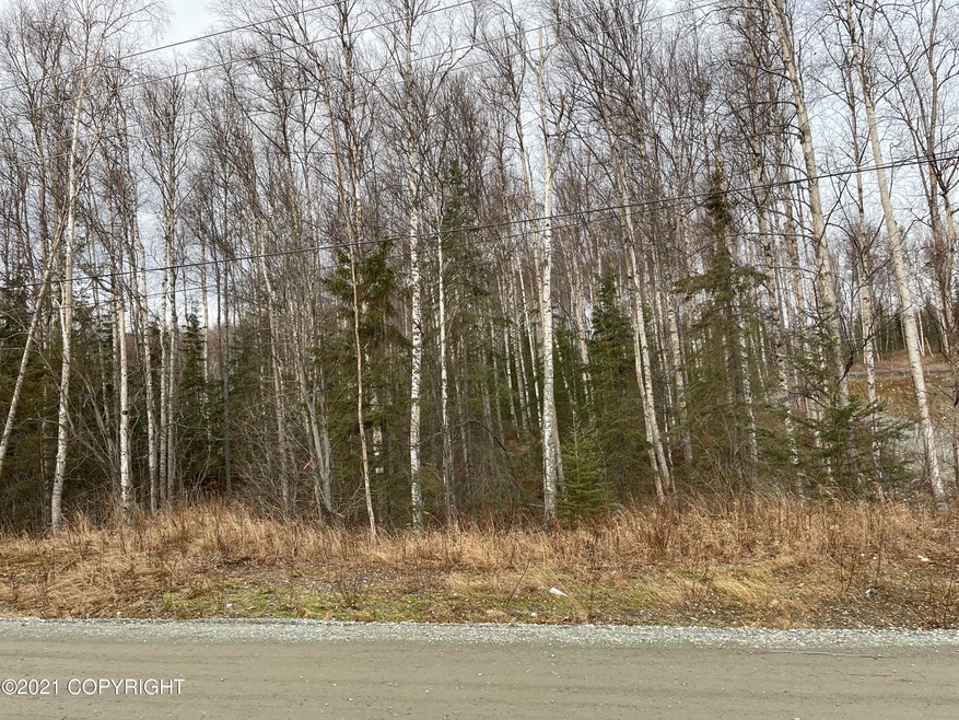 IMG-8448