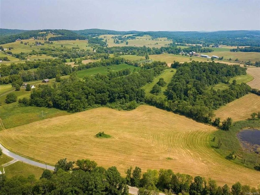0 Simons Rd, Ancram, NY 12502 - photo 1