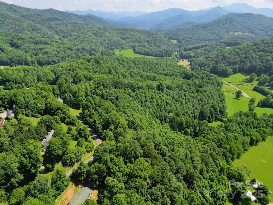 00 Point of View Dr, Waynesville, NC 28785 - photo 1