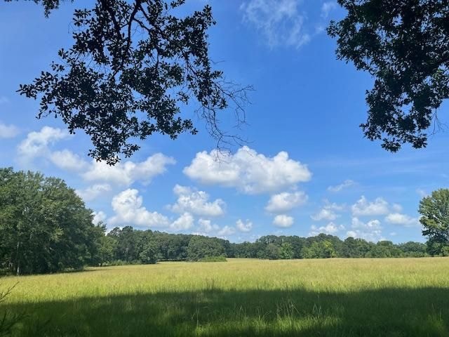 Violet Rd, Pattison, MS 39144 - photo 1