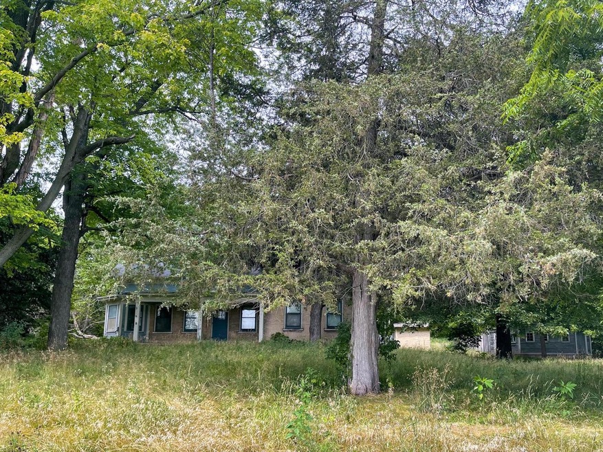 Forest View 3
