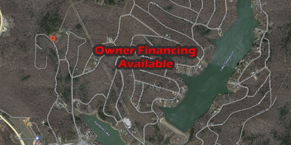 0 King Henry Rd, Hardy, AR 72542 - photo 1