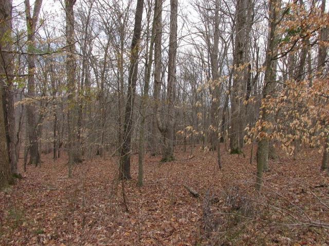 0 Country Club Dr unit 1812844, Manchester, TN 37355 - photo 1