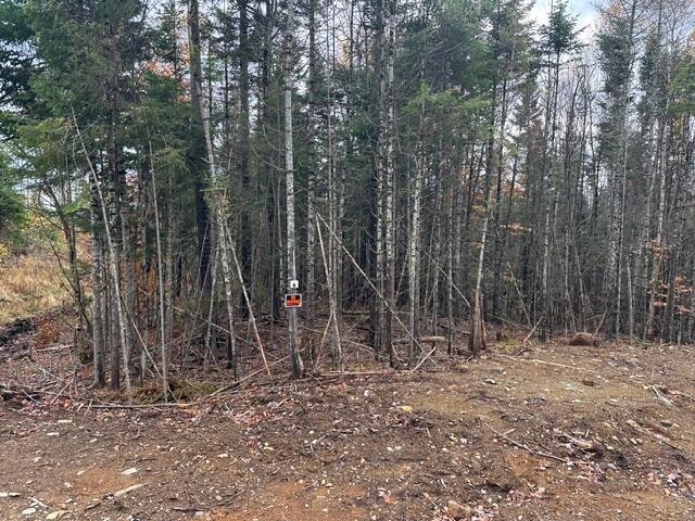 Lot ''N'' Whitetail Trail, Greenville, ME 04441 - photo 1
