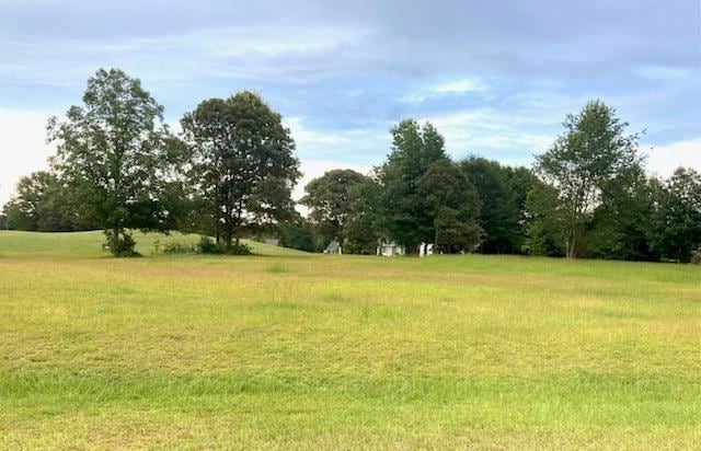 10 N Lake Cir, Manning, SC 29102 - photo 1