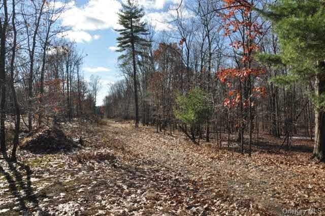 0 Schultz Hill Rd unit ONEHM334790, Clinton, NY 12580 - photo 1