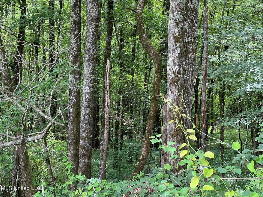 0 Hwy 35 Hwy Unit 4066618, Carthage, MS 39051 MLS 4066618