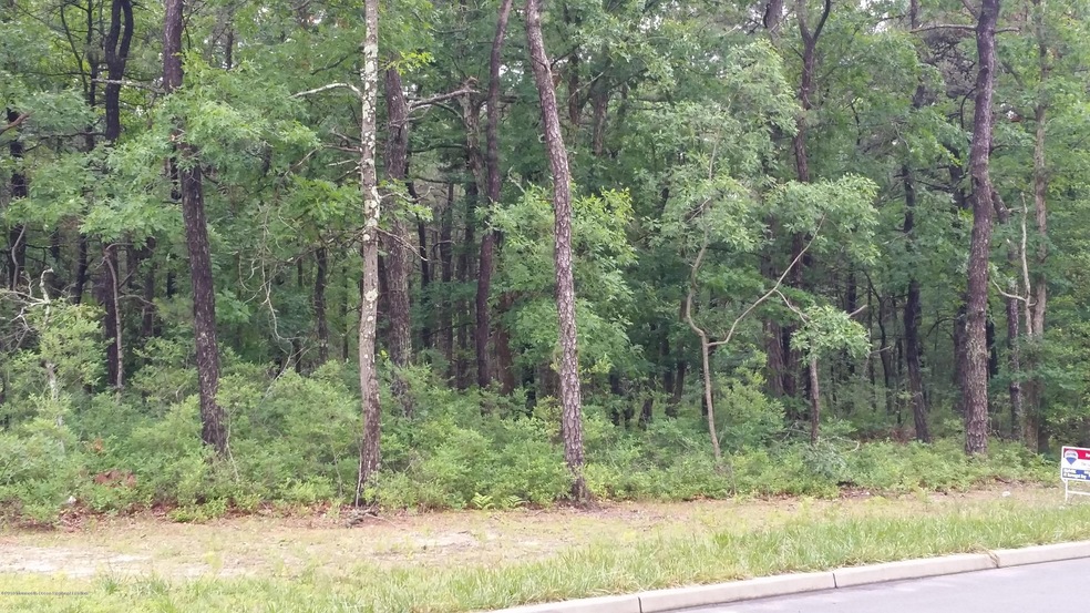 0 Elizabeth Ave unit 21829213, Berkeley Township, NJ 08721 - photo 1