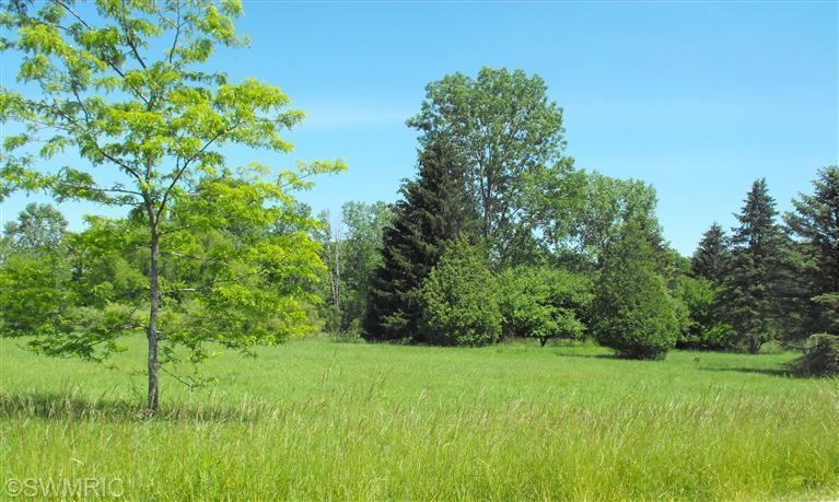 0 W Clarksville Rd unit 13036536, Clarksville, MI 48815 - photo 1