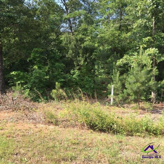 11 Sugar Maple Ct, Byron, GA 31008 - photo 1