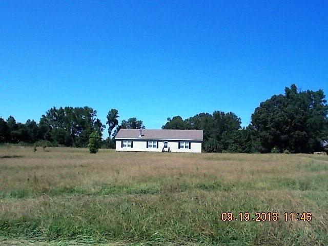 Primary Photo