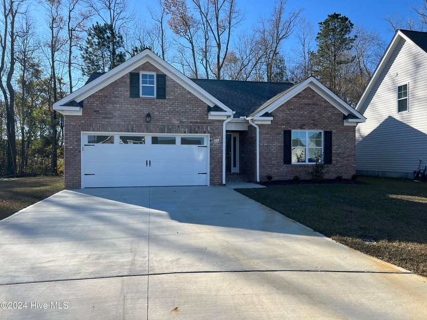 1209 Hunley Ct, Winterville, NC 28590 - photo 1