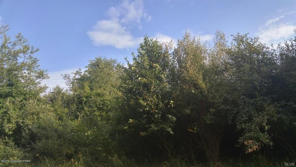 8 Butternut Dr, Kunkletown, PA 18058 - photo 1