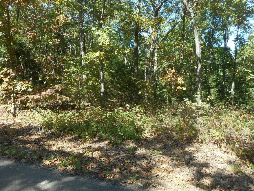 232 Buzzard Rock Rd, Farmington, MO 63640 - photo 1