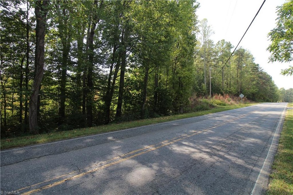 00000 Iron Mountain Rd, Asheboro, NC 27205 - photo 1