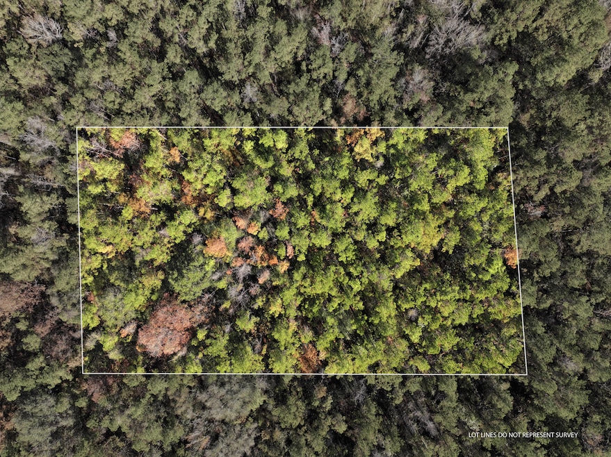 Old_Hwy_24_W_Lot_32-1