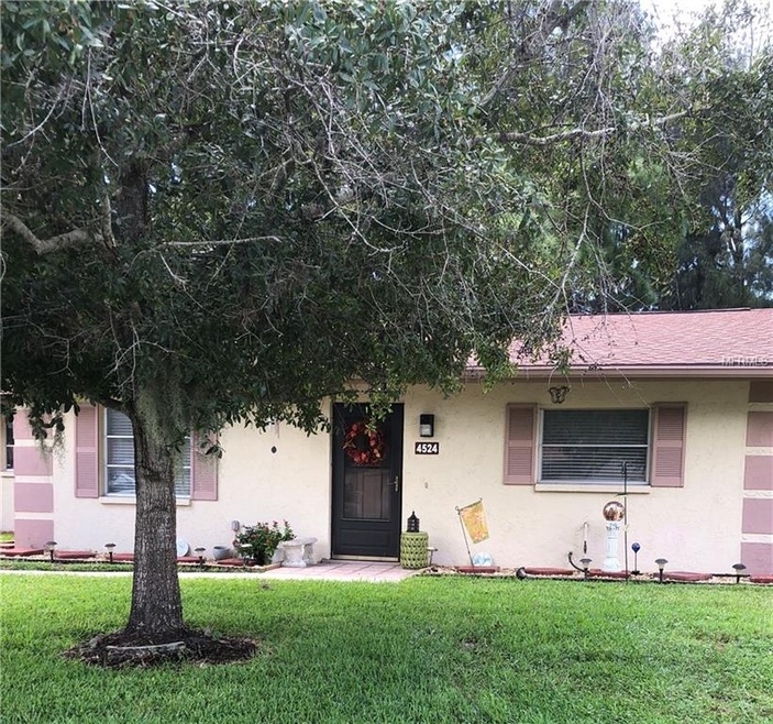 Front View. Beautiful Shade Tree.