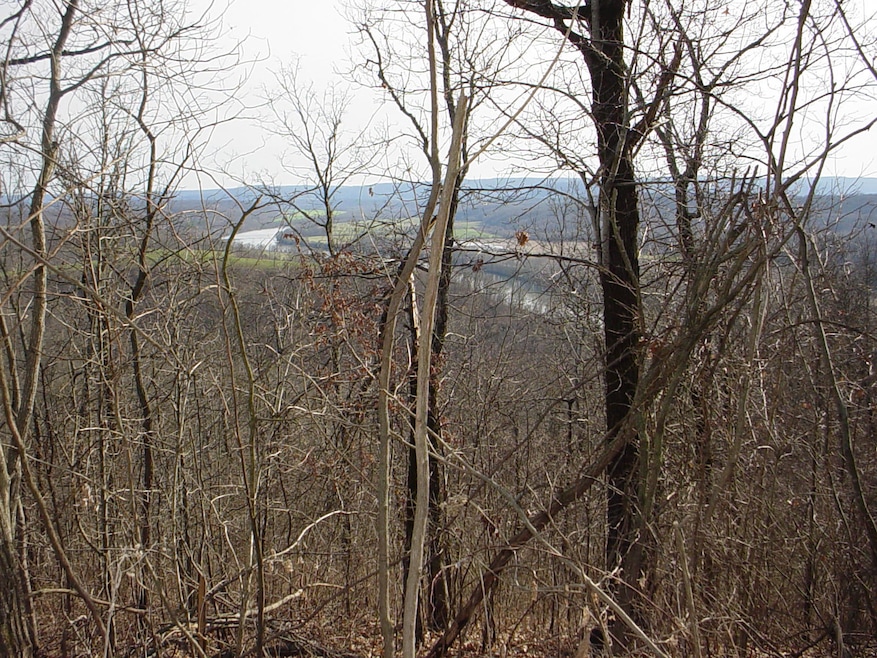 River View