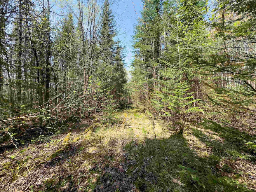 538 Oregon Rd, Concord, VT 05824 - photo 1