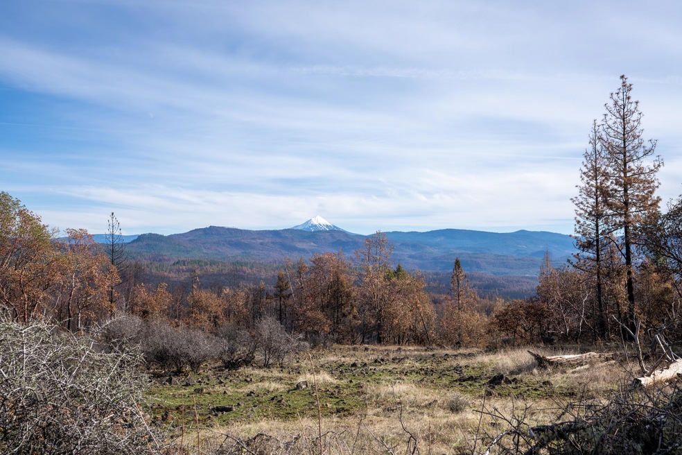 View of Mt McGloughlin