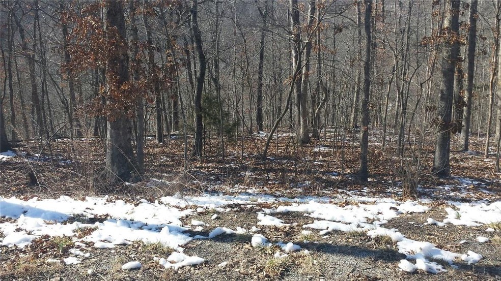 Lot 37 Bridlington Dr, Bella Vista, AR 72714 - photo 1