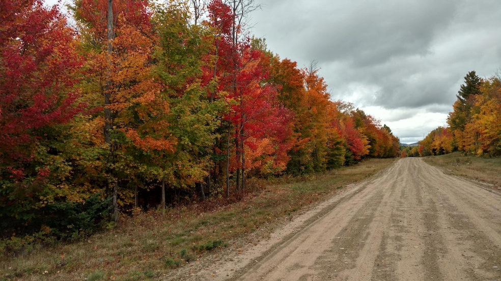 Lot 7 Daigneau Trail, Franklin, NY 12989 - photo 1
