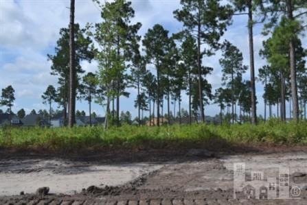 5021 Stoney Point Dr, Leland, NC 28451 - photo 1