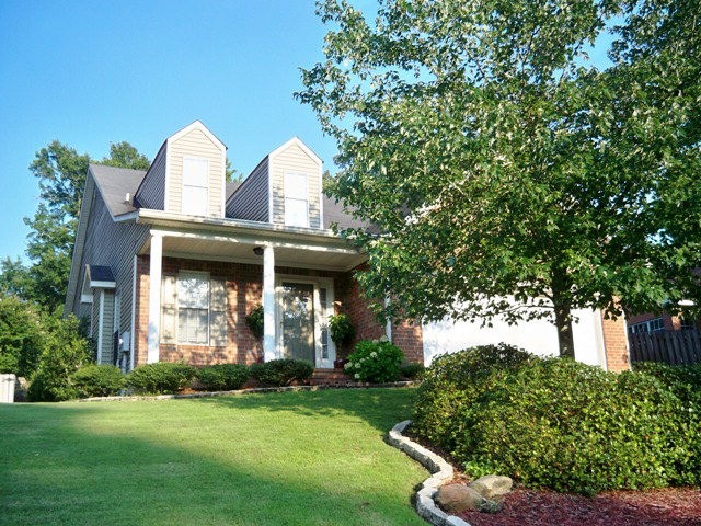 Main View