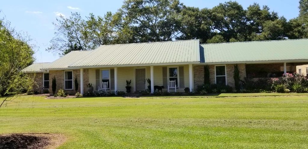Main View
