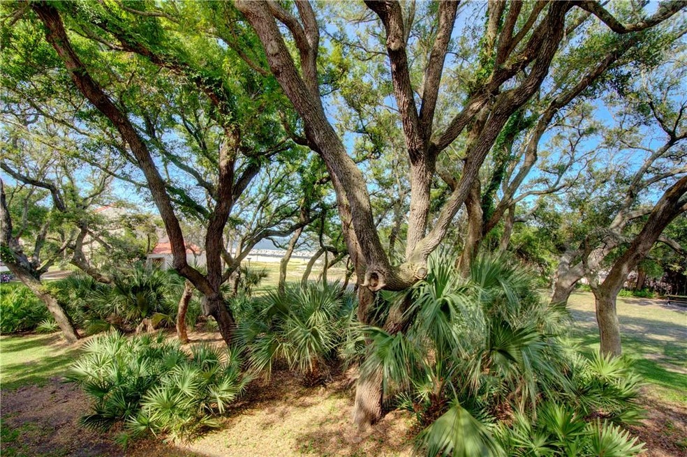 Upper Level Ocean View through windswept oaks. Nic