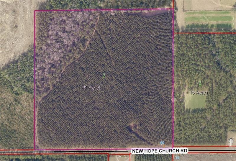 41 New Hope Church Rd, Robertsdale, AL 36567 - photo 1