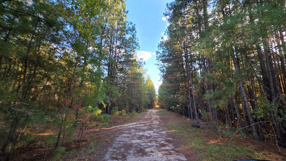 0 Deerwood & Brentwood unit 139029, Fitzgerald, GA 31750 - photo 1