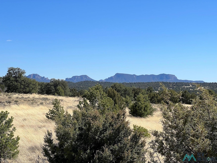 89 Ponderosa View Loop, Pie Town, NM 87827 - photo 1