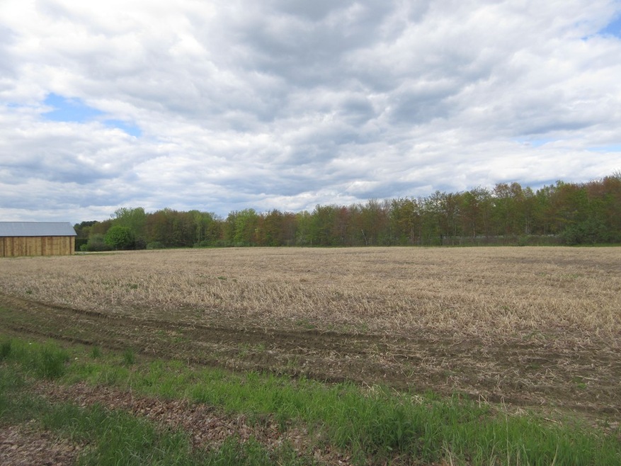 Lot 2 State Rd, Whately, MA 01373 - photo 1