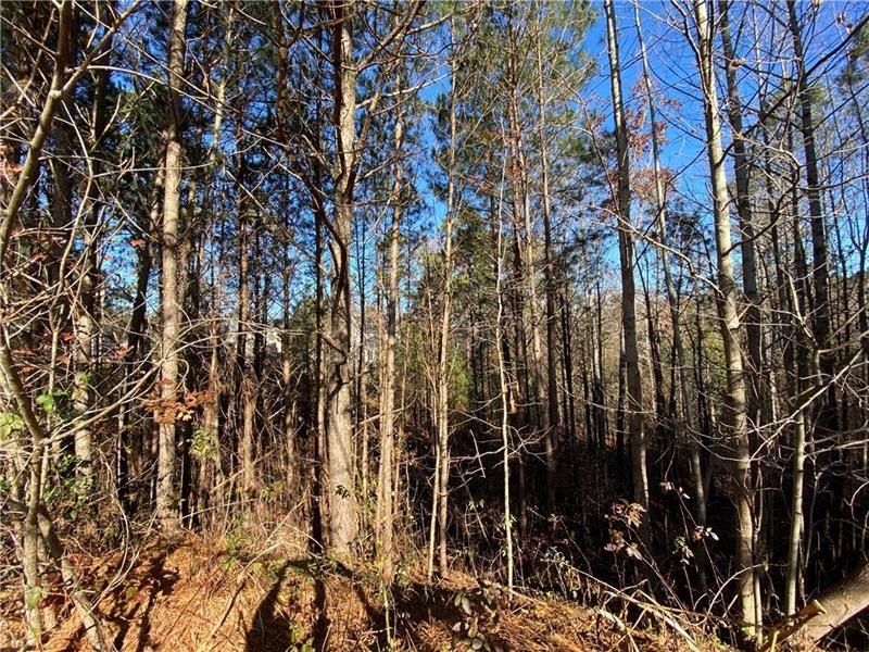 303 Victory Commons Overlook, Acworth, GA 30102 - photo 1