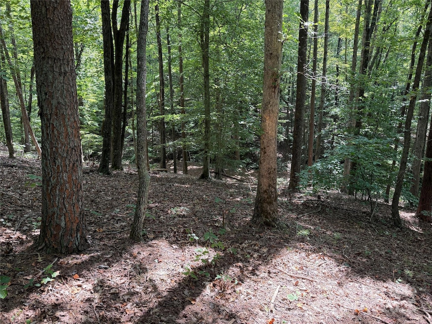 0 Mountain Brook Trail unit 298, Nebo, NC 28761 - photo 1