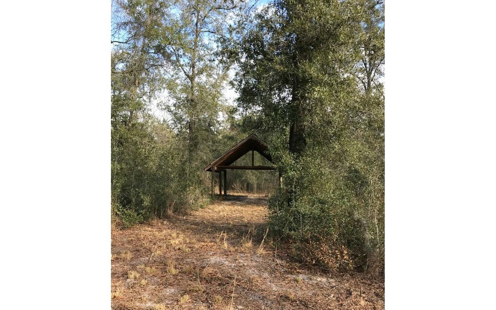 531 Roberts Ave, Fort White, FL 32038 - photo 1