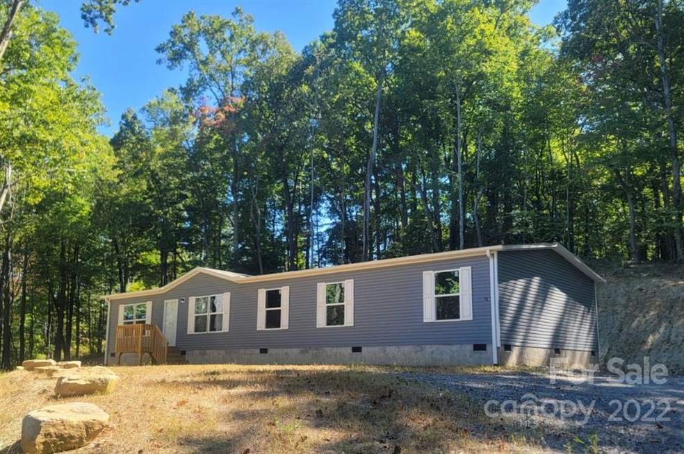 79 Propst Rd, Candler, NC 28715 - photo 1