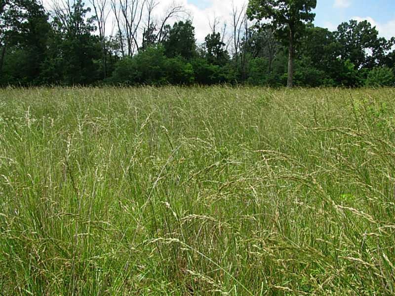 0 W Hwy 72 Hwy unit 696015, Bentonville, AR 72712 - photo 1