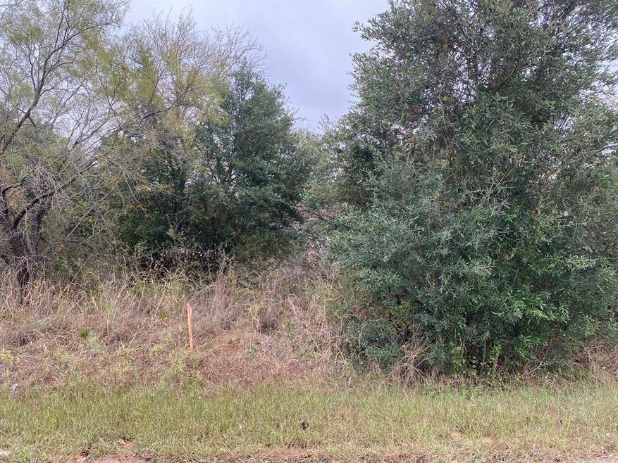 4255 Bay Shore Cir, Granbury, TX 76049 - photo 1