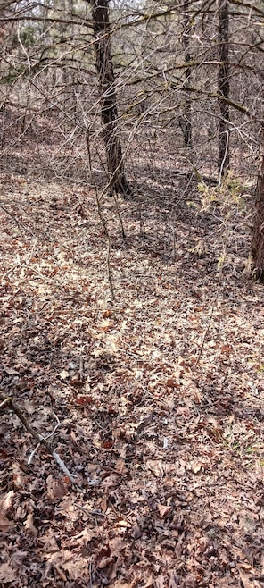 Lot 26 Crestview Dr, Sundown, MO 65761 - photo 1