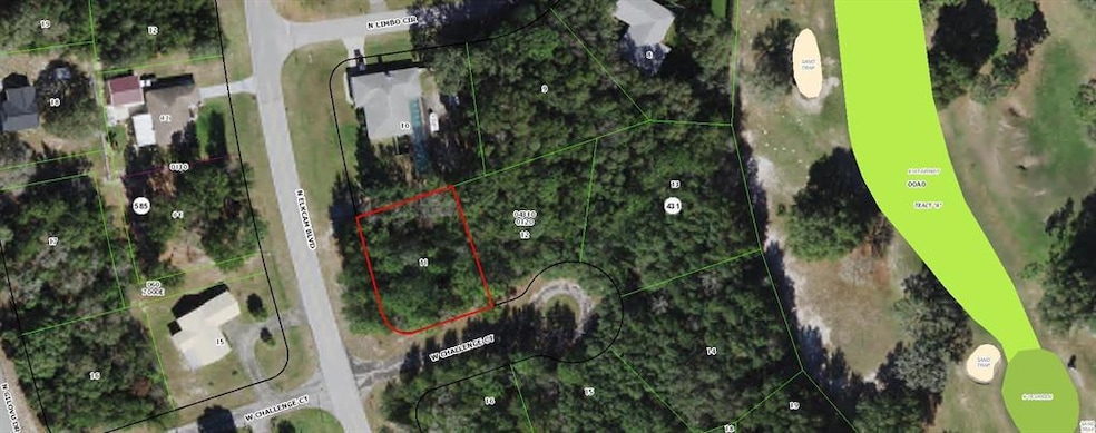 3011 W Challenge Ct, Dunnellon, FL 34434 - photo 1