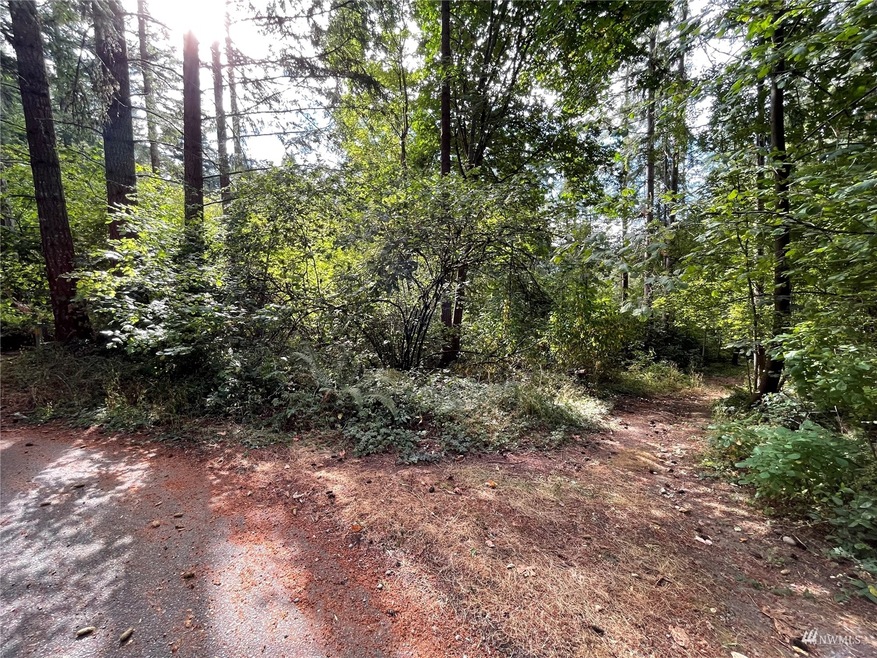 unlisted-address, Yelm, WA 98597 - photo 1